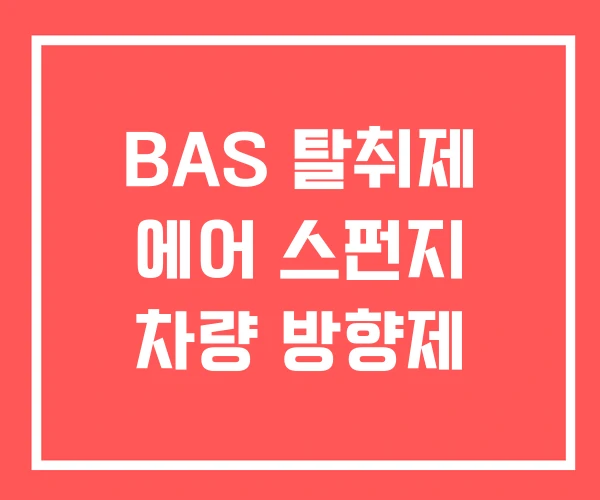 BAS 탈취제 에어 스펀지 차량 방향제