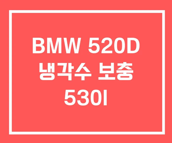 BMW 520D 냉각수 보충 530I