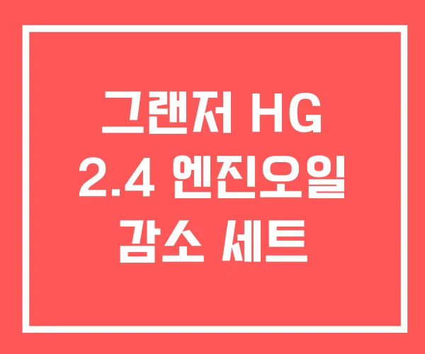 그랜저 HG 2.4 엔진오일 감소 세트 그랜저 HG 2.4 엔진오일 감소 세트