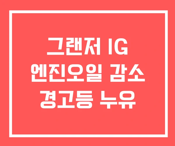 그랜저 IG 엔진오일 감소 경고등 누유 그랜저 IG 엔진오일 감소 경고등 누유