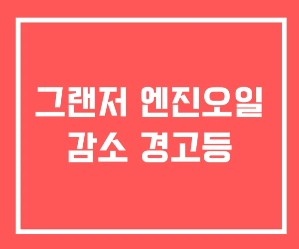 그랜저 엔진오일 감소 경고등 그랜저 엔진오일 감소 경고등