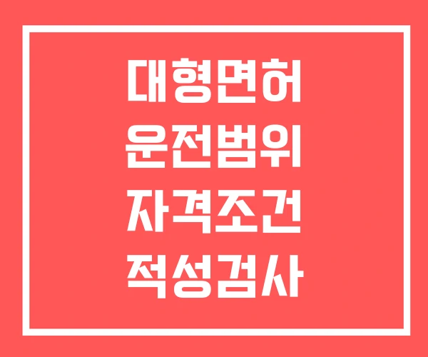 대형면허 운전범위 자격조건 적성검사 대형면허 운전범위 자격조건 적성검사