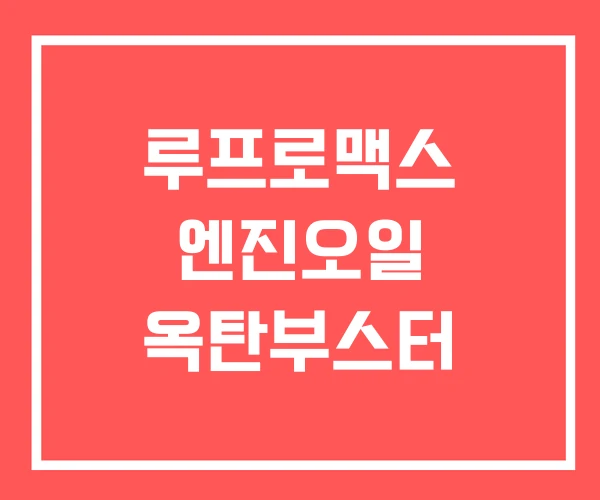 루프로맥스 엔진오일 옥탄부스터 루프로맥스 엔진오일 옥탄부스터