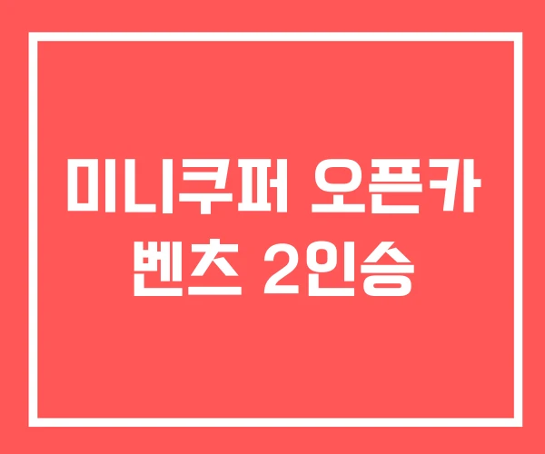 미니쿠퍼 오픈카 벤츠 2인승