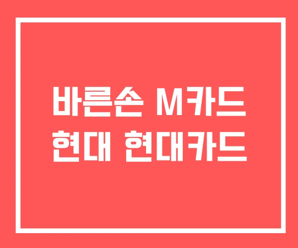 바른손 M카드 현대 현대카드 바른손 M카드 현대 현대카드