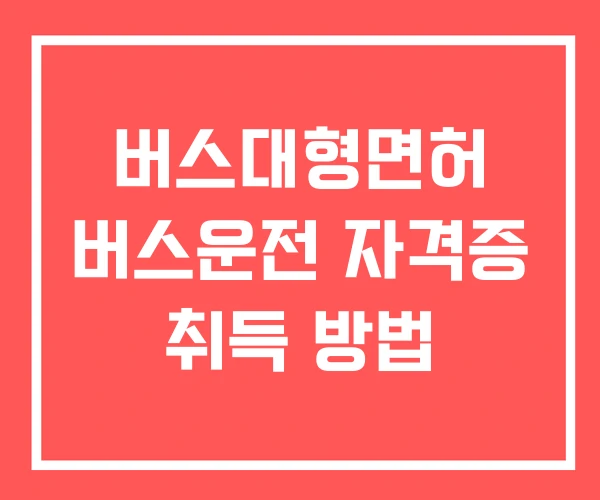 버스대형면허 버스운전 자격증 취득 방법 버스대형면허 버스운전 자격증 취득 방법