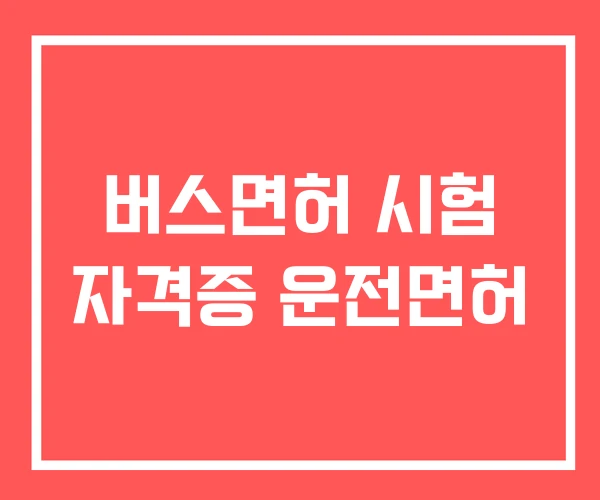 버스면허 시험 자격증 운전면허