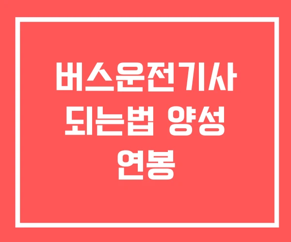 버스운전기사 되는법 양성 연봉 버스운전기사 되는법 양성 연봉