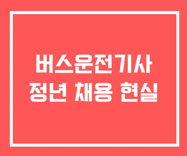 버스운전기사 정년 채용 현실 버스운전기사 정년 채용 현실