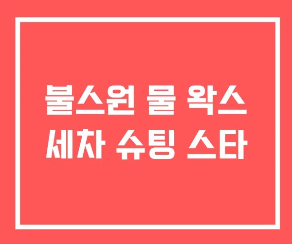 불스원 물 왁스 세차 슈팅 스타