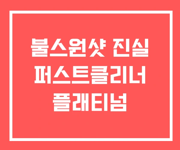 불스원샷 진실 퍼스트클리너 플래티넘 불스원샷 진실 퍼스트클리너 플래티넘