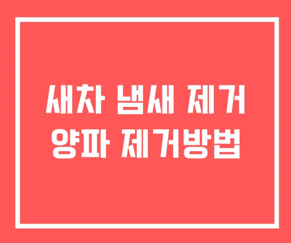 새차 냄새 제거 양파 제거방법 새차 냄새 제거 양파 제거방법