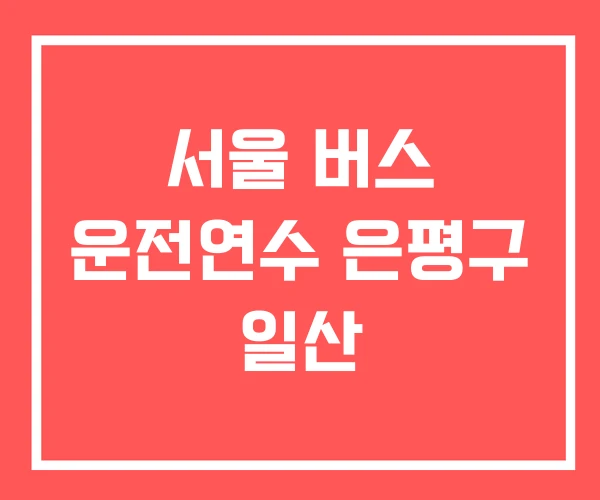 서울 버스 운전연수 은평구 일산