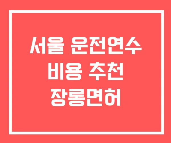 서울 운전연수 비용 추천 장롱면허