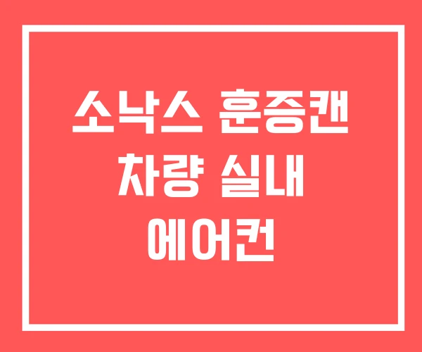 소낙스 훈증캔 차량 실내 에어컨