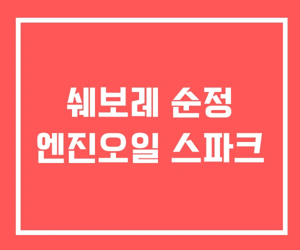 쉐보레 순정 엔진오일 스파크 쉐보레 순정 엔진오일 스파크
