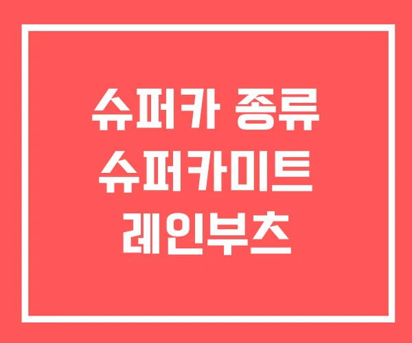 슈퍼카 종류 슈퍼카미트 레인부츠 슈퍼카 종류 슈퍼카미트 레인부츠