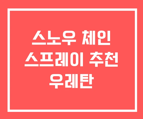 스노우 체인 스프레이 추천 우레탄