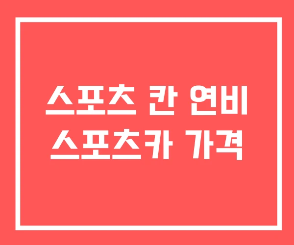 스포츠 칸 연비 스포츠카 가격 스포츠 칸 연비 스포츠카 가격