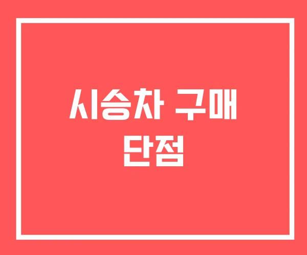시승차 구매 단점