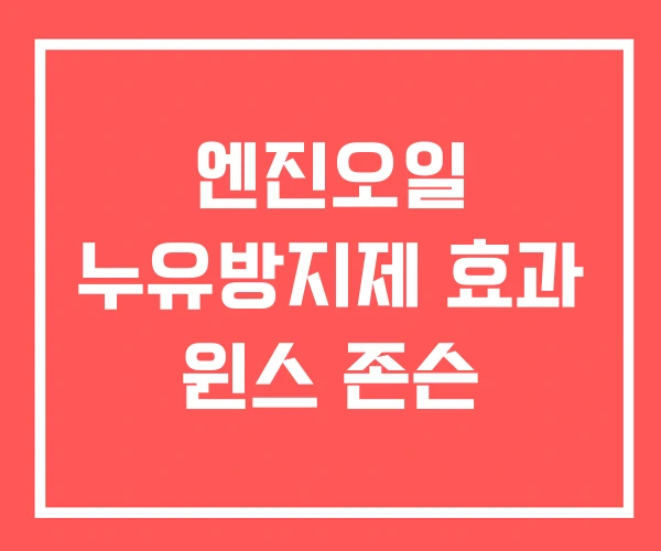 엔진오일 누유방지제 효과 윈스 존슨