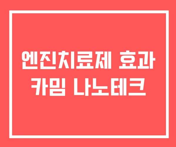 엔진치료제 효과 카밈 나노테크
