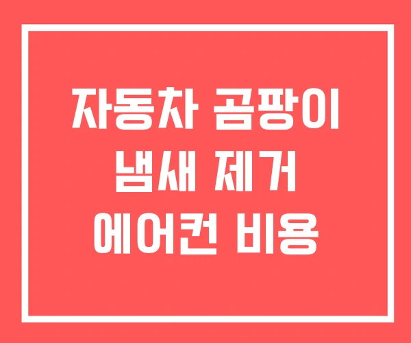 자동차 곰팡이 냄새 제거 에어컨 비용