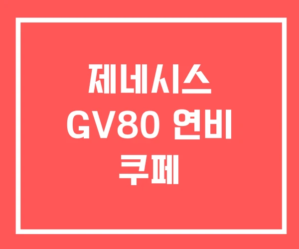 제네시스 GV80 연비 쿠페 제네시스 GV80 연비 쿠페