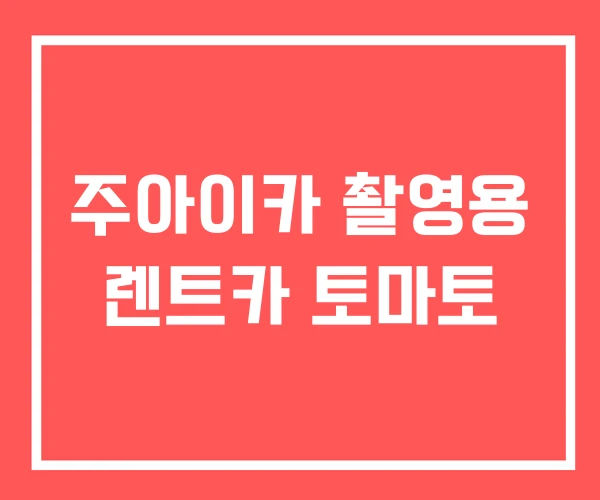 주아이카 촬영용 렌트카 토마토 주아이카 촬영용 렌트카 토마토