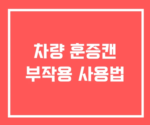차량 훈증캔 부작용 사용법