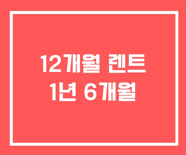 12개월 렌트 1년 6개월 12개월 렌트 1년 6개월
