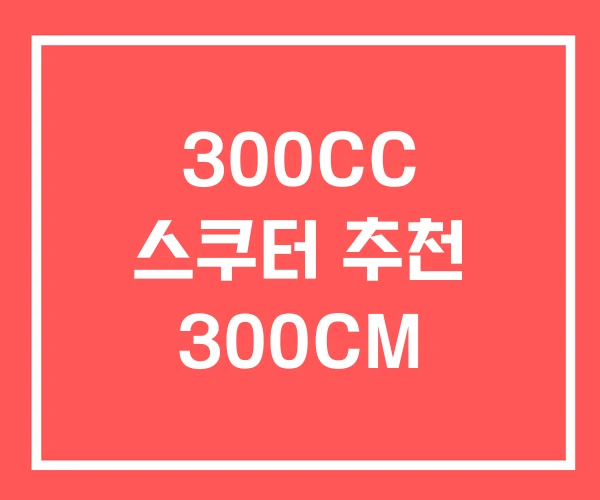 300CC 스쿠터 추천 300CM 300CC 스쿠터 추천 300CM