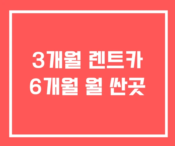 3개월 렌트카 6개월 월 싼곳
