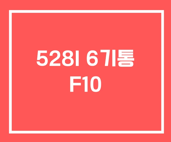 528I 6기통 F10 528I 6기통 F10