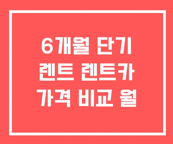 6개월 단기 렌트 렌트카 가격 비교 월 6개월 단기 렌트 렌트카 가격 비교 월