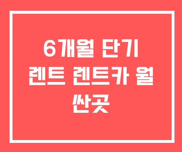 6개월 단기 렌트 렌트카 월 싼곳 6개월 단기 렌트 렌트카 월 싼곳