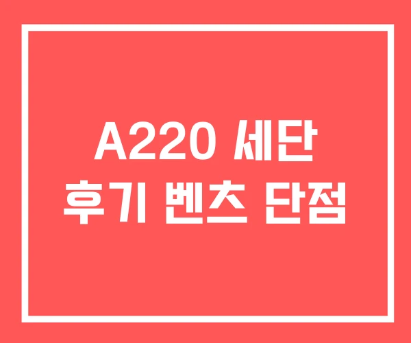 A220 세단 후기 벤츠 단점 A220 세단 후기 벤츠 단점