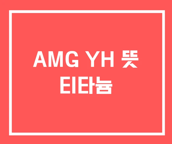 AMG YH 뜻 티타늄 AMG YH 뜻 티타늄