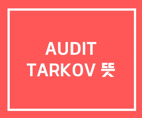AUDIT TARKOV 뜻