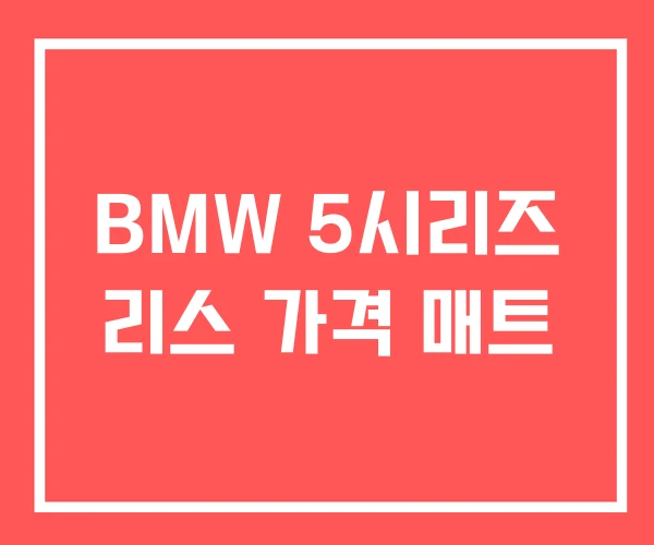 BMW 5시리즈 리스 가격 매트 BMW 5시리즈 리스 가격 매트