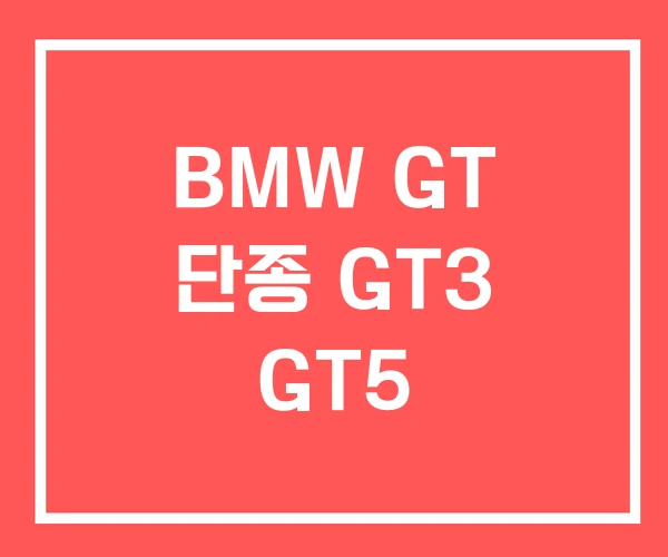 BMW GT 단종 GT3 GT5