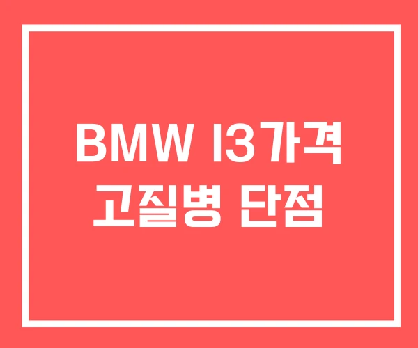 BMW I3가격 고질병 단점