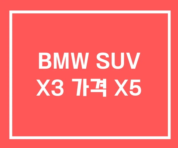 BMW SUV X3 가격 X5 BMW SUV X3 가격 X5