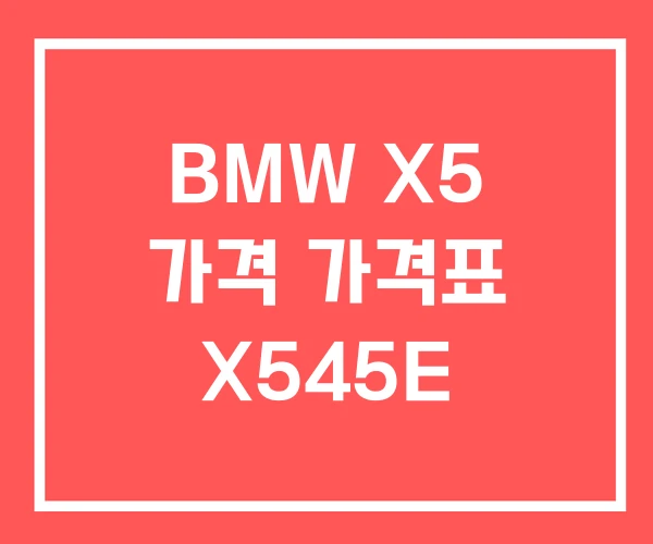 BMW X5 가격 가격표 X545E BMW X5 가격 가격표 X545E