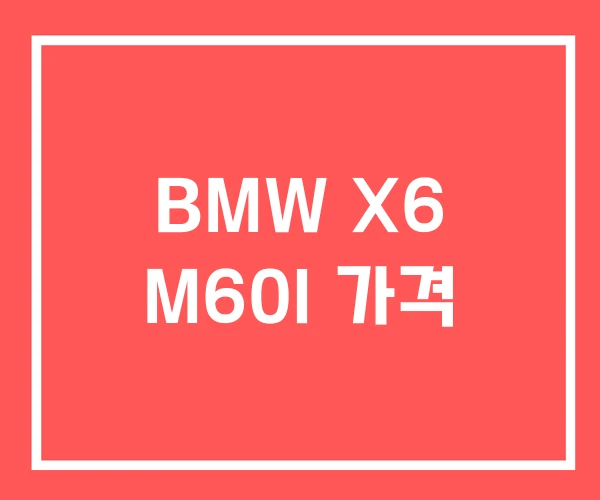BMW X6 M60I 가격