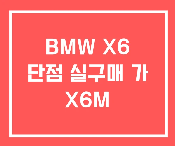 BMW X6 단점 실구매 가 X6M BMW X6 단점 실구매 가 X6M