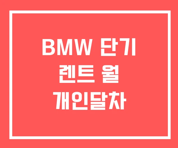 BMW 단기 렌트 월 개인달차