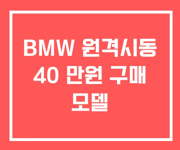 BMW 원격시동 40 만원 구매 모델