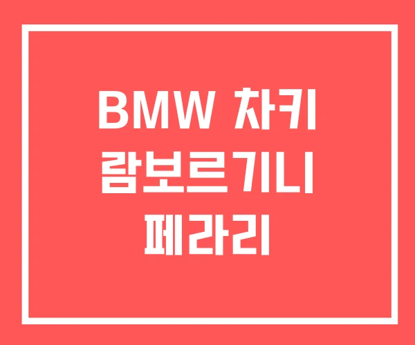 BMW 차키 람보르기니 페라리