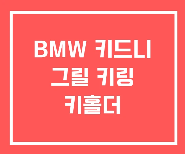 BMW 키드니 그릴 키링 키홀더